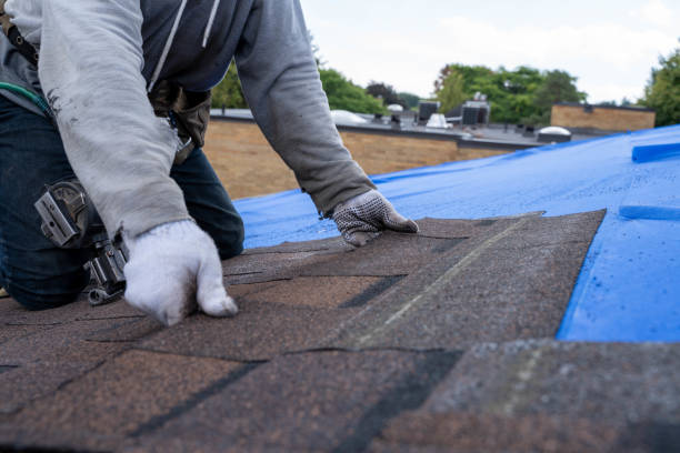 Reliable La Grulla, TX Roofing Contractor Solutions