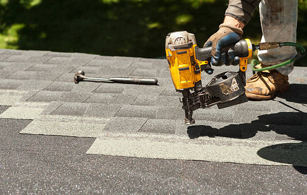 Best Roof Waterproofing Services  in La Grulla, TX