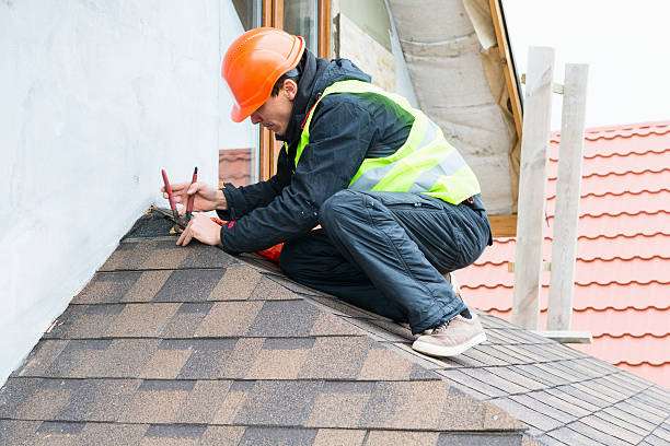 Best Roofing Contractor Near Me  in La Grulla, TX